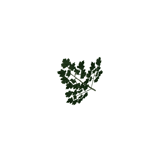 Oak Leaves (Mesh)